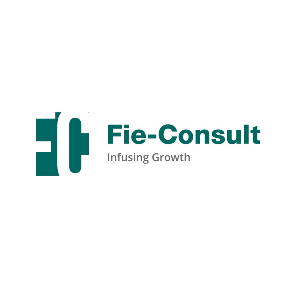 Fie-Consult