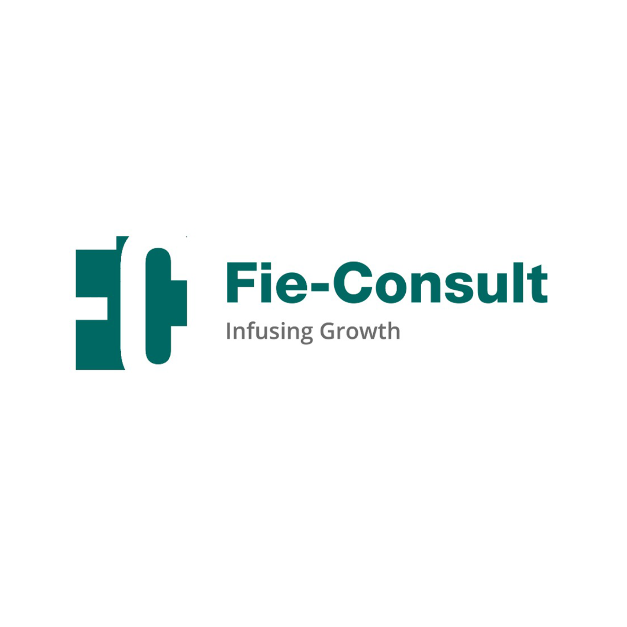 Fie-Consult